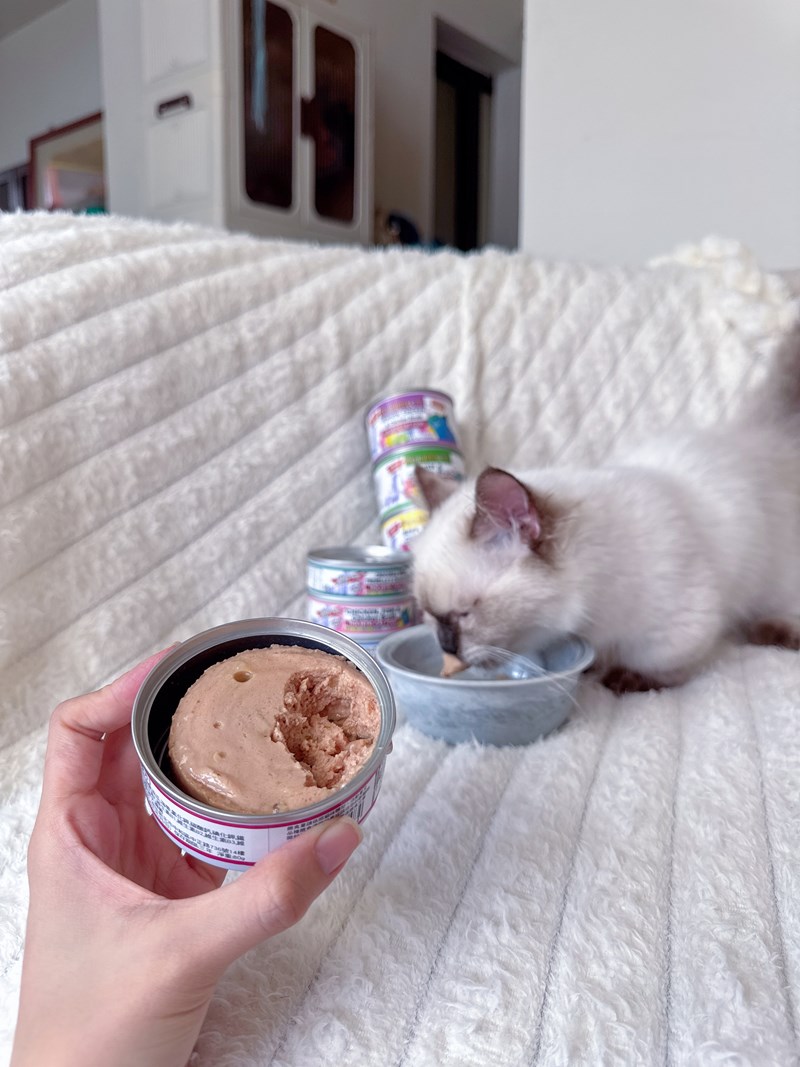 女人知己試用大隊,口碑行銷,部落客行銷,PURRFACT 波菲特貓用主食罐,主食罐,PURRFACT波菲特,貓主食罐,貓罐,PURRFACT波菲特貓用主食罐,魚肉蔓越莓主食罐,鮮嫩雞主食罐,鹿肉雞肉主食罐,牛肉鵪鶉貓主食罐,干貝蠶蛹配方,鱷魚肉白木耳配方,雞肉魚肉配方,安心鶉配方,評價,體驗,適口性佳,心得,成貓適用,高齡貓適用,質地是慕絲狀